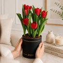 Tulipas Plantadas Vermelhas no Box Giu