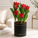 Tulipas Plantadas Vermelhas no Box Giu