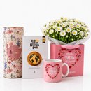 Kit Minha Mãe é Especial com Biscoitê e Livro Café com Deus Pai
