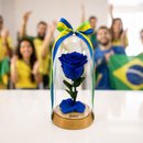 A Bela Rosa Encantada Azul Brasil