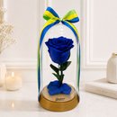 A Bela Rosa Encantada Azul Brasil