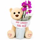 Urso Louco e Mini Rara Lilas