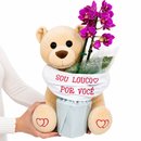 Urso Louco e Mini Rara Lilas