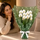 Majestosa Orquídea Phalaenopsis Branca