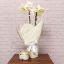 Vela Encontro Floral Giuliana Flores e Mini Orquídea Branca