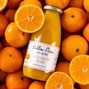 Suco de Tangerina 12x300ml - Villa Piva