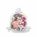 Mini Jardim Encantado