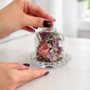 Mini Jardim Encantado