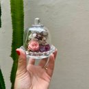 Mini Redoma Delicata
