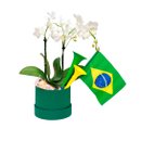 Cesta Orquídea Torcedor Brasil na Copa