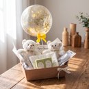 Cesta Maternidade Mimos Para Dois - Bebês Gêmeos