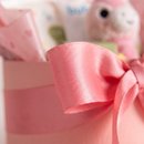 Cesta Maternidade Aconchego e Cuidados - Bebê Menina
