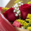 Buquê com 12 Rosas