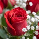 Buquê com 12 Rosas Importadas