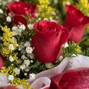 Arranjo com 12 rosas vermelhas