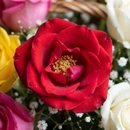 Cesta Floral