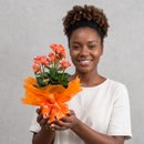 Kalandiva Pequena Laranja