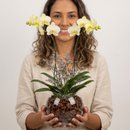 Orquidea no Vidro