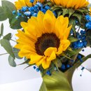 Raio de Sol Dourado