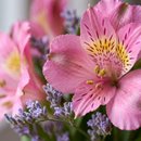 Brunch Encanto Floral