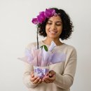 Orquídea Phalaenopsis Amor