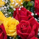 Buquê Especial 20 Rosas 