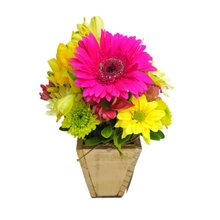 Arranjo Mimo de Flores do Campo