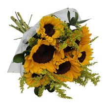 Buquê de 6 Girassois  Radiantes