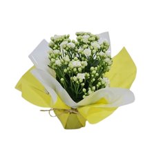 Flor da Fortuna Branca