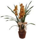 Orquídea Cymbidium Para Presente No Cachepot Madeira