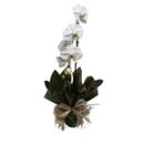 Arranjo Orquidea Borboleta