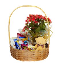 Cesta com Chocolates Flor e Pelucia 