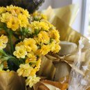 Box de Aniversário com Flor