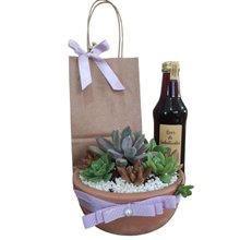Conjunto Suculentas mais Licor Artesanal
