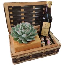 Love Box Suculenta e Aperitivo