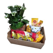 Cesta Encanto para Todos