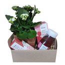 Cesta Relax com Natura