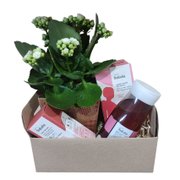 Cesta Relax com Natura