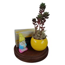 Kit É Zen Lavabo Natura