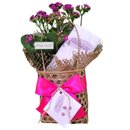 Cesta Kalanchoe Pink com Chocolate