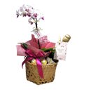 Cesta Elegância Orquídea Branca e Roxa
