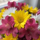 Vaso Petit Mix Flores