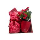 Cesta de Natal Mimo e Carinho