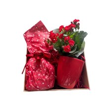 Cesta de Natal Mimo e Carinho