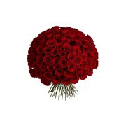 Buque de Rosas Vermelhas Galante