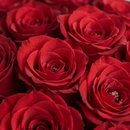 Buque de Rosas Vermelhas Galante