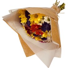 Buque de Margarida Premium