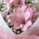 Astromelias com Gypsophila