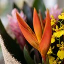 Buque de Flores Tropicais Para Alegrar o Seu Dia