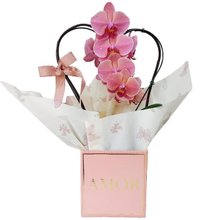 Box Amor com Orquidea coração
